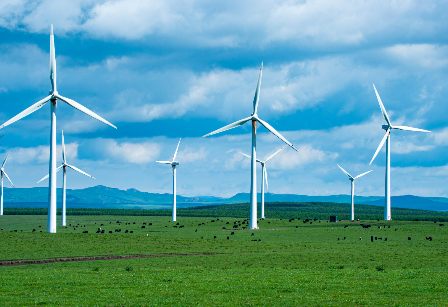 国家能源局就绿证核发实施细则征求意见